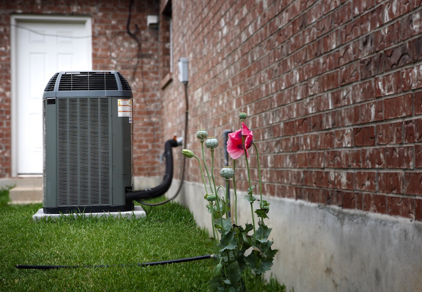 green-lawn-with-flowers-and-newly-repaired-ac-unit